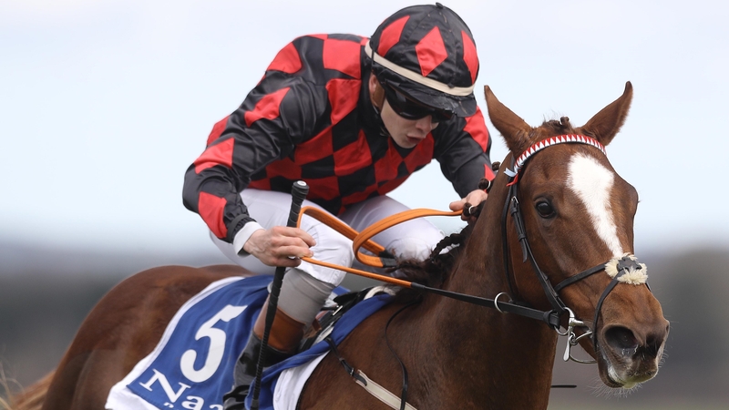 Pride Of Pimlico took the opener at Naas