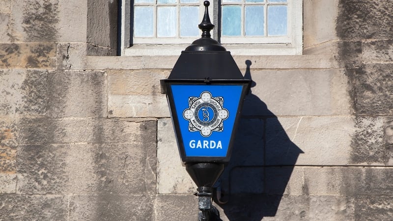 Gardai have appealed for information following the incident