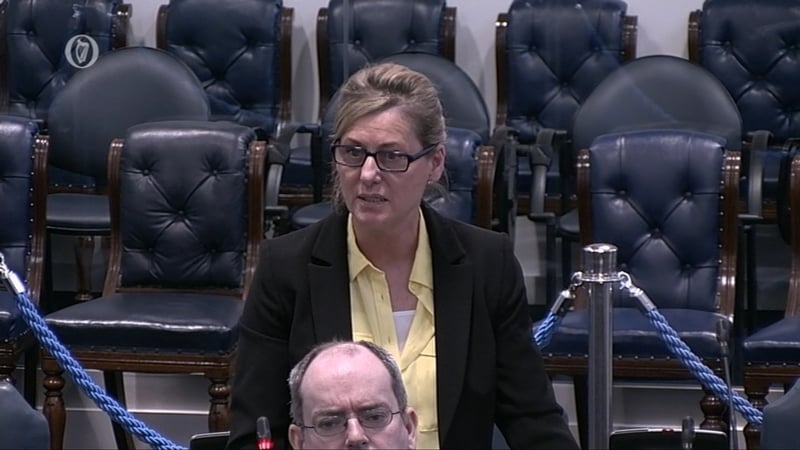 Máire Devine said she retweeted what she thought was a genuine tweet without having read the full content of the tweet