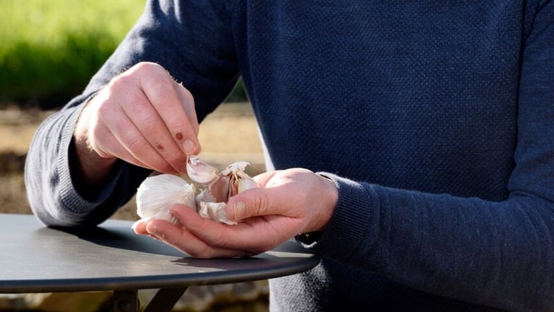 Tonight on Grow Cook Eat, Chef Jessica Murphy creates a delicious garlic confit.