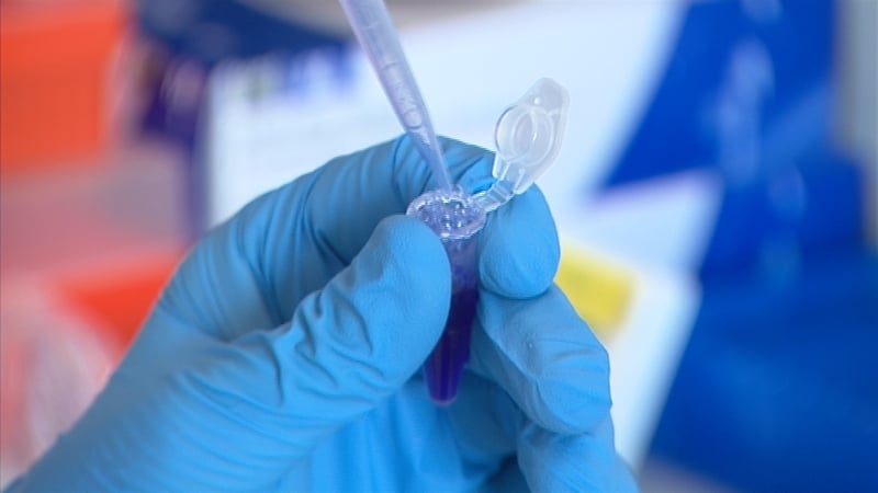 Researchers say their findings could have significant implications for the treatment of illnesses