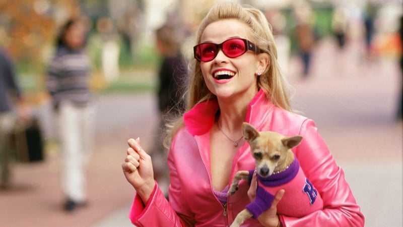 Reese Witherspoon in Legally Blonde