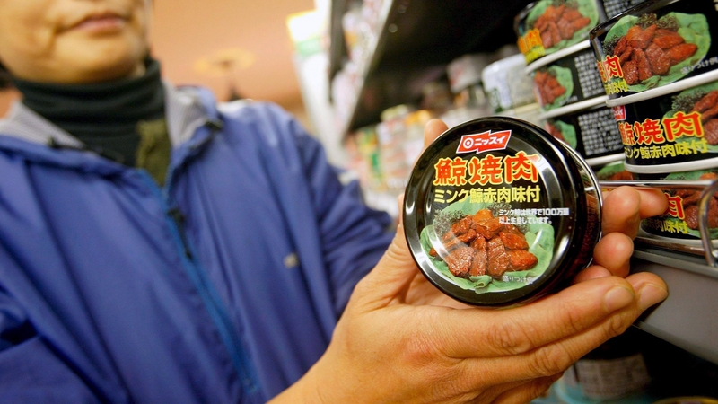 Canned minke whale meat for sale in a Japanese supermarket