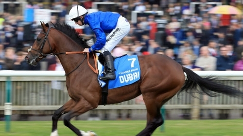 Thunder Snow took victory in the Dubai World Cup