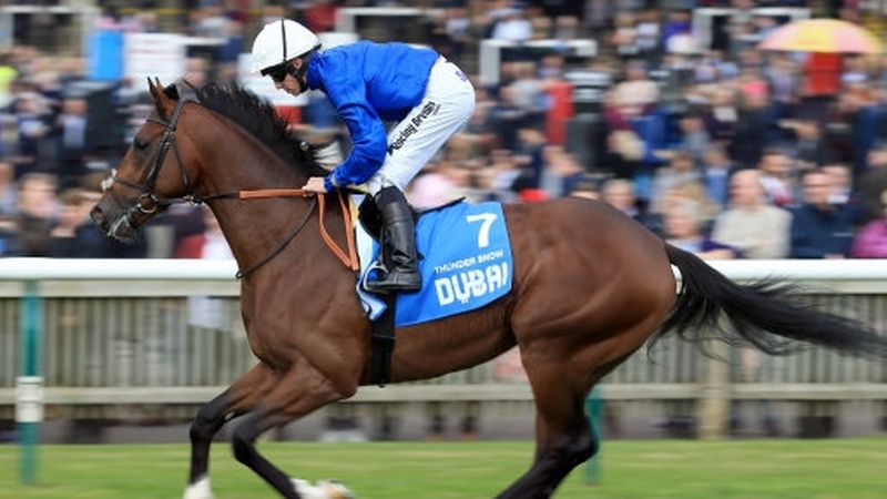 Thunder Snow took victory in the Dubai World Cup