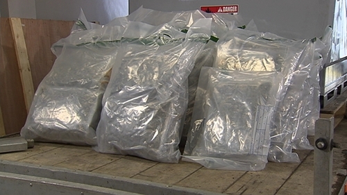 The drugs were found in a fuel tank in Dromore, Co Down