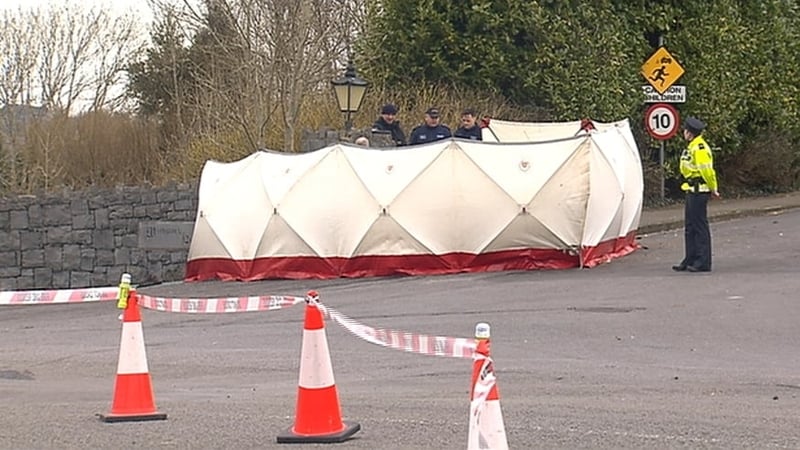 The car hit a wall at Woodstock near Ennis early this morning