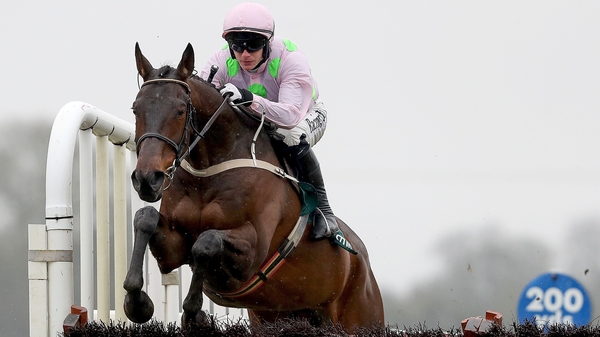 Getabird is back among the winners