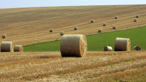 The Government has decided the three year cap will be extended to farms and businesses