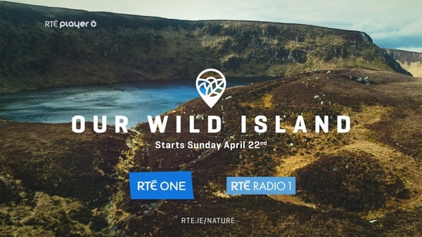 Exploring Ireland's wild beauty with Our Wild Island on RTÉ