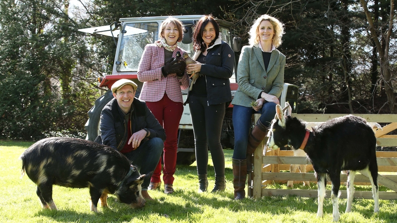 Wexford hurler Lee Chin is heading for the farm