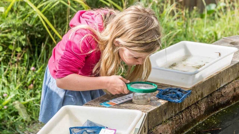 13 Things to do around Ireland