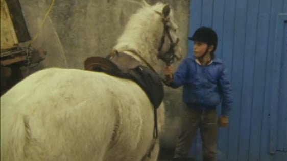Johnny McNiffe's Riding Academy
