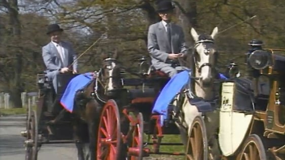 Phoenix Park 1988