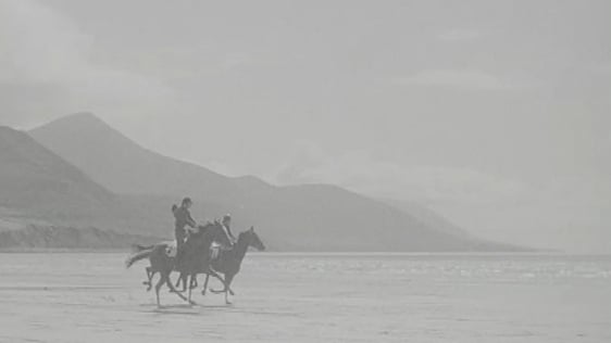 Glenbeigh Races, Rossbeigh Beach (1973)
