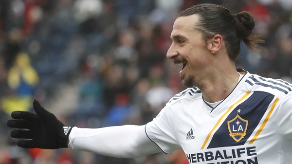 Zlatan Ibrahimovic celebrates his winner