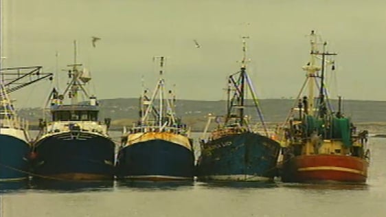 Trawlers moored at Cill Rónáin harbour (1998)