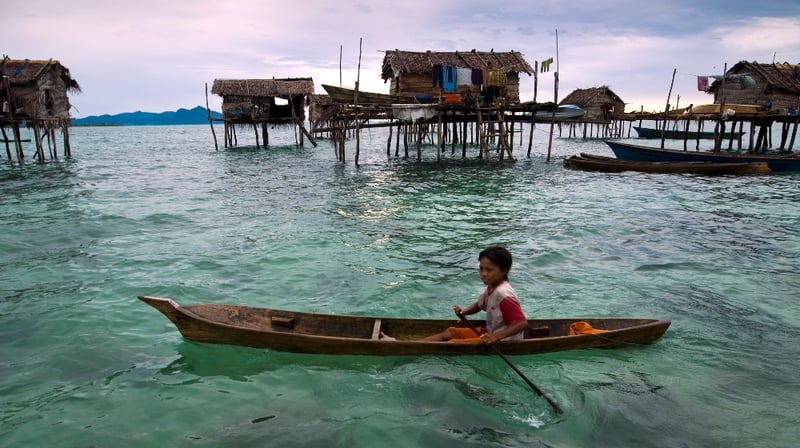 Studies show the Bajau have larger spleens than land-based people