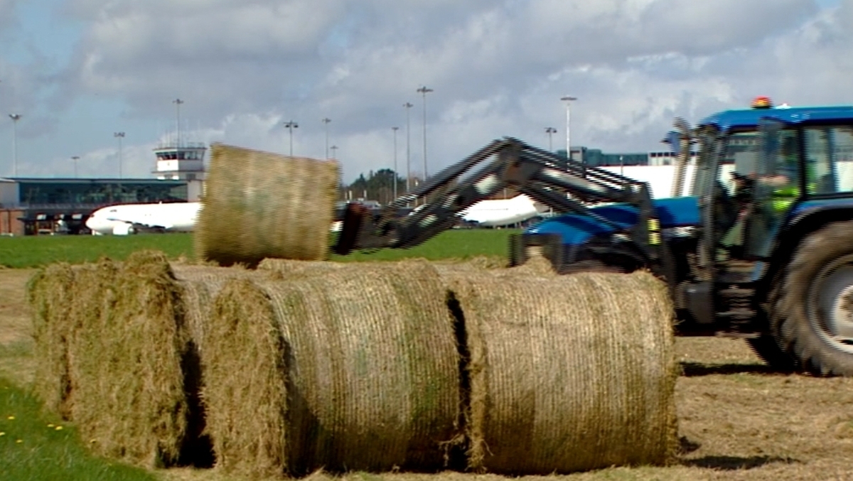 Is Ireland prepared for extreme weather conditions?