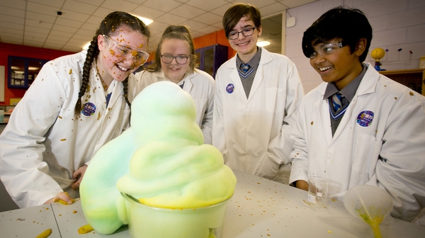 The survey was carried out as part of the launch of the 2019 BT Young Scientist and Technology Exhibition