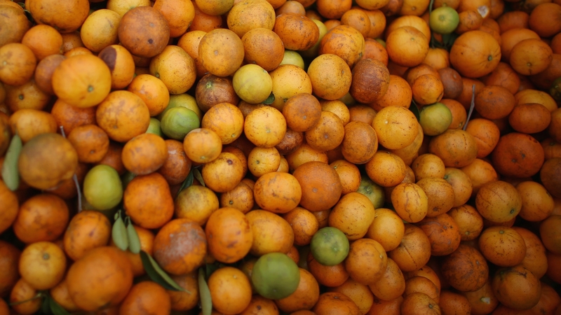 Florida saw its orange production tumble by 60% from 2005 to 2017