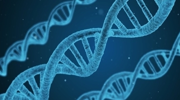 The danger of the online DNA test: 'Did they always know and keep