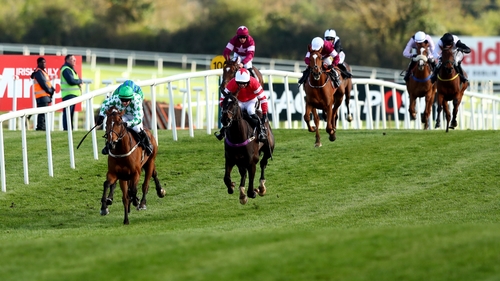 Tornado Flyer looks set to go in the Lawlor's of Naas Novice Hurdle