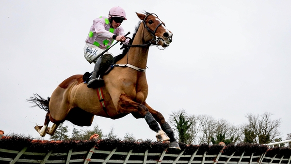 Faugheen being aimed at the Stayers' feature at Leopardstown