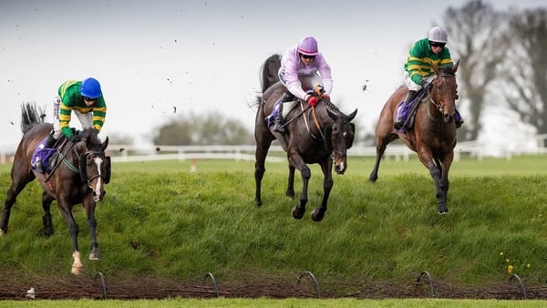 Donal McInerney on Auvergnat (right) on his way to winning