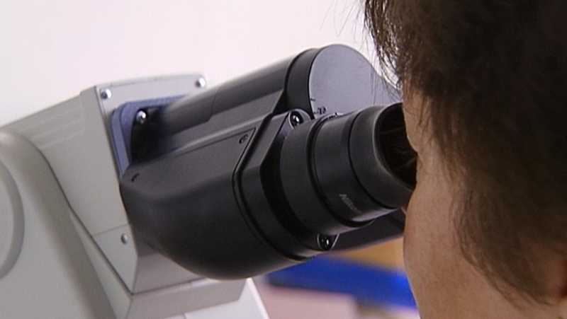 205 of the 209 women or families subject to the audits have been contacted