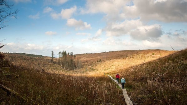 Exploring Ireland's Hidden Heartlands at Cavan Burren Park. Photo: Fáilte Ireland