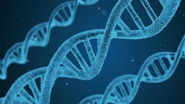 Two scientists believe an Irish version of the Human Genome project could help shed some light on genetic conditions