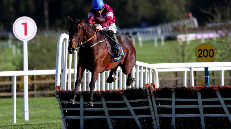 Dortmund Park won the Champion Novice Hurdle at Punchestown