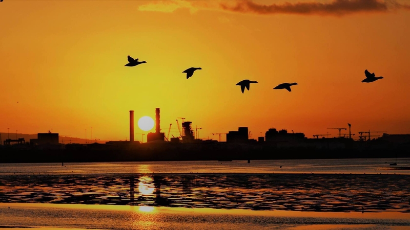 Picture: Donal Power