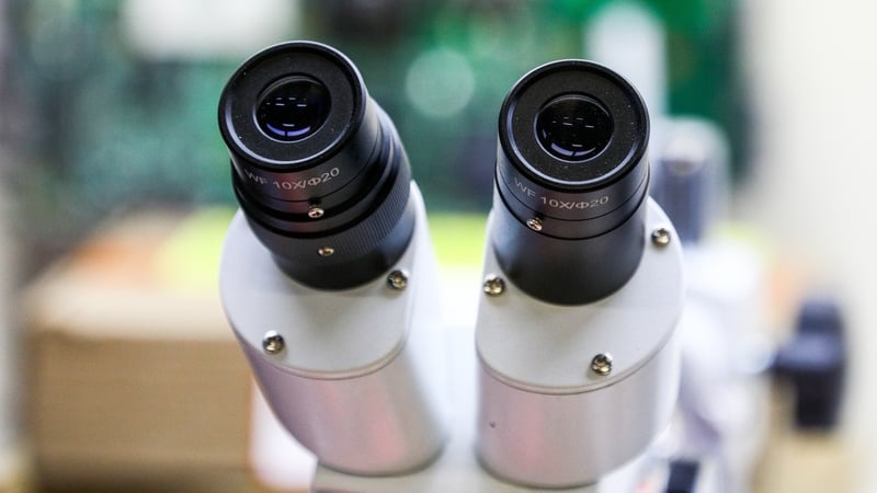 The HSE said the information line established on 28 April continues to operate