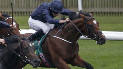 Gustav Klimt is one of three Aidan O'Brien runners in the 2000 Guineas