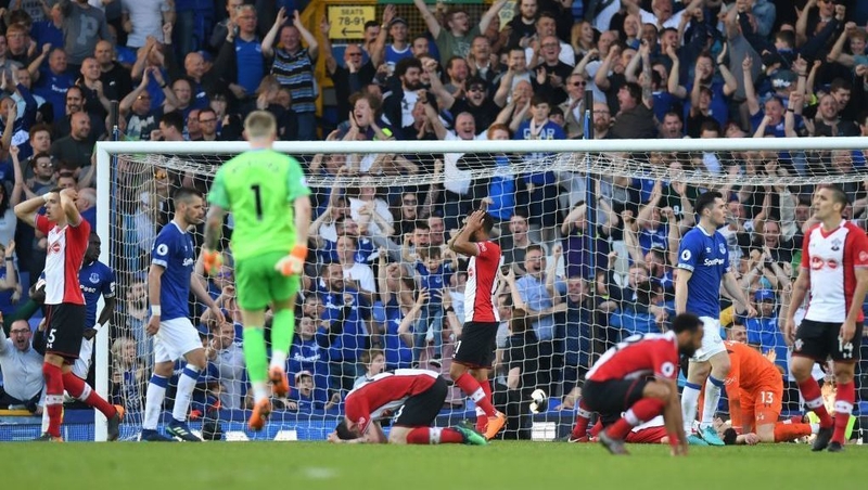 Southampton players react after Tom Davies' equaliser