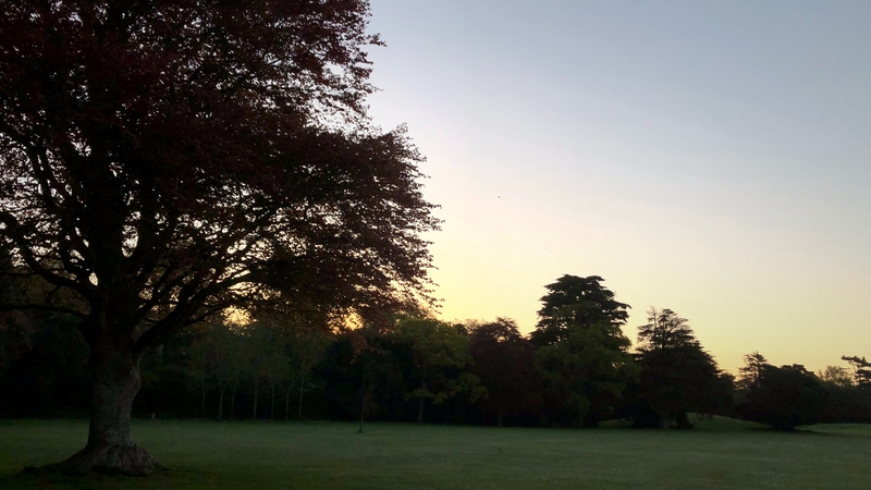 The appeals board had received over 650 objections against the proposed development in St Anne's Park in Raheny