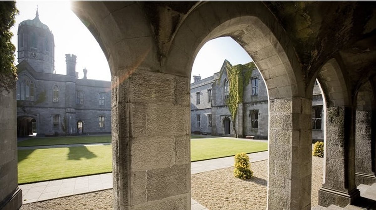 Pádraig Ó Sabhain , Ionad Foghlama agus Forbartha Gairmiúla d'Aosaigh in Ollscoil na Gaillimhe