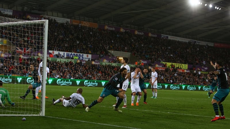 Manolo Gabbiadini celebrates the goal that should see Southampton safe from relegation