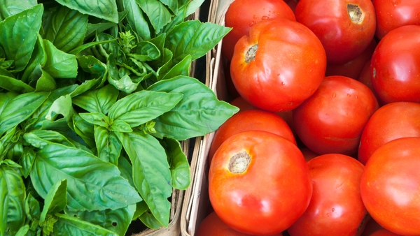 Britain sources 85% of its tomatoes from the EU in January compared to 30% in June