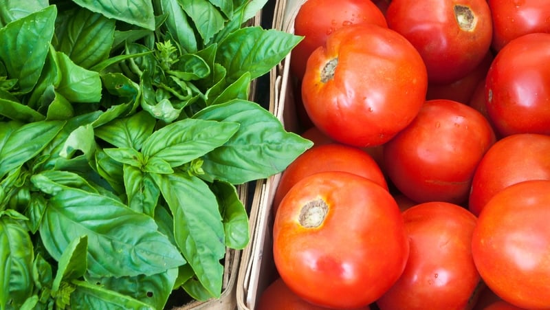 Britain sources 85% of its tomatoes from the EU in January compared to 30% in June