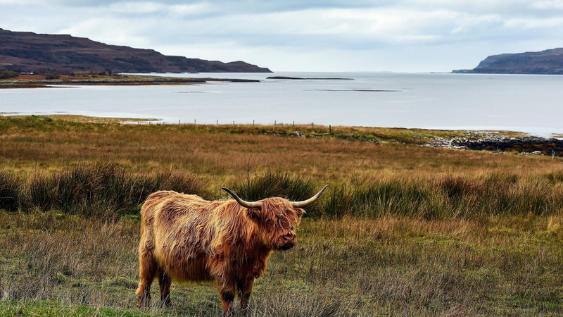 Ulva is an idyllic location