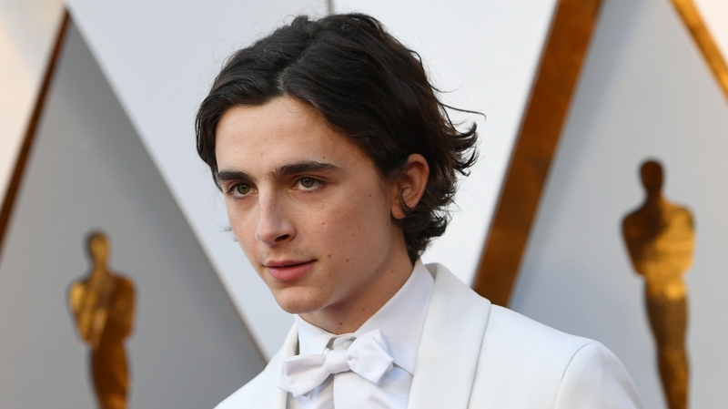 Timothee Chalamet: living in electric dreams