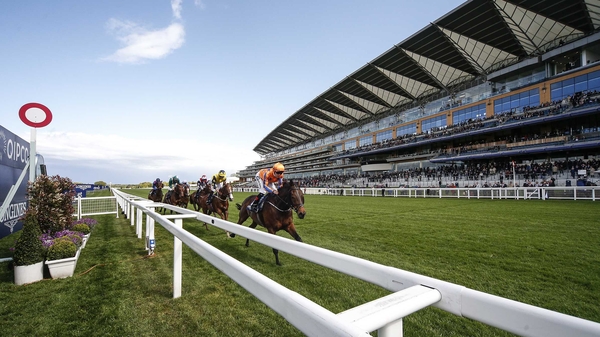 Grand Glory will be ridden by Mickael Barzalona as regular pilot Cristian Demuro is set to partner Shahryar