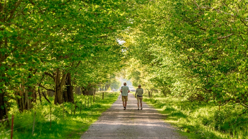 "Many may want to try their hand at something different, to travel, to re-discover family and friends, or just to take it easy". Photo: iStock