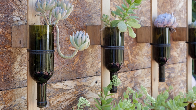 Wine bottles upcycling as flower pots. Photo: iStock