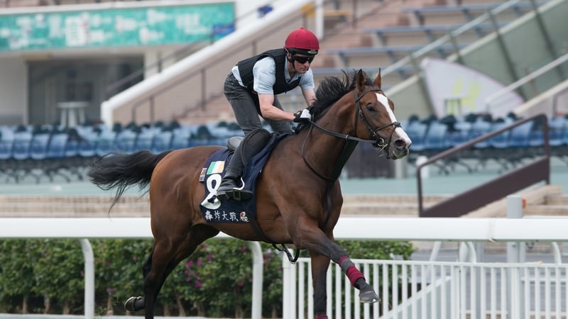 Lancaster Bomber made nearly all and stretched clear near the line