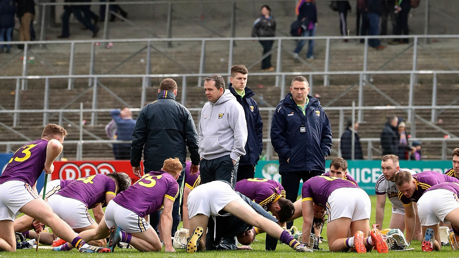 Fitzgerald has instilled discipline in the Wexford panel