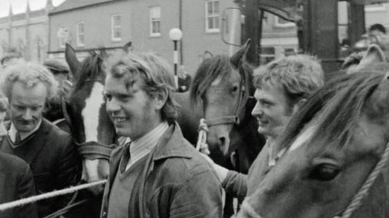 Buttevant Horse Fair